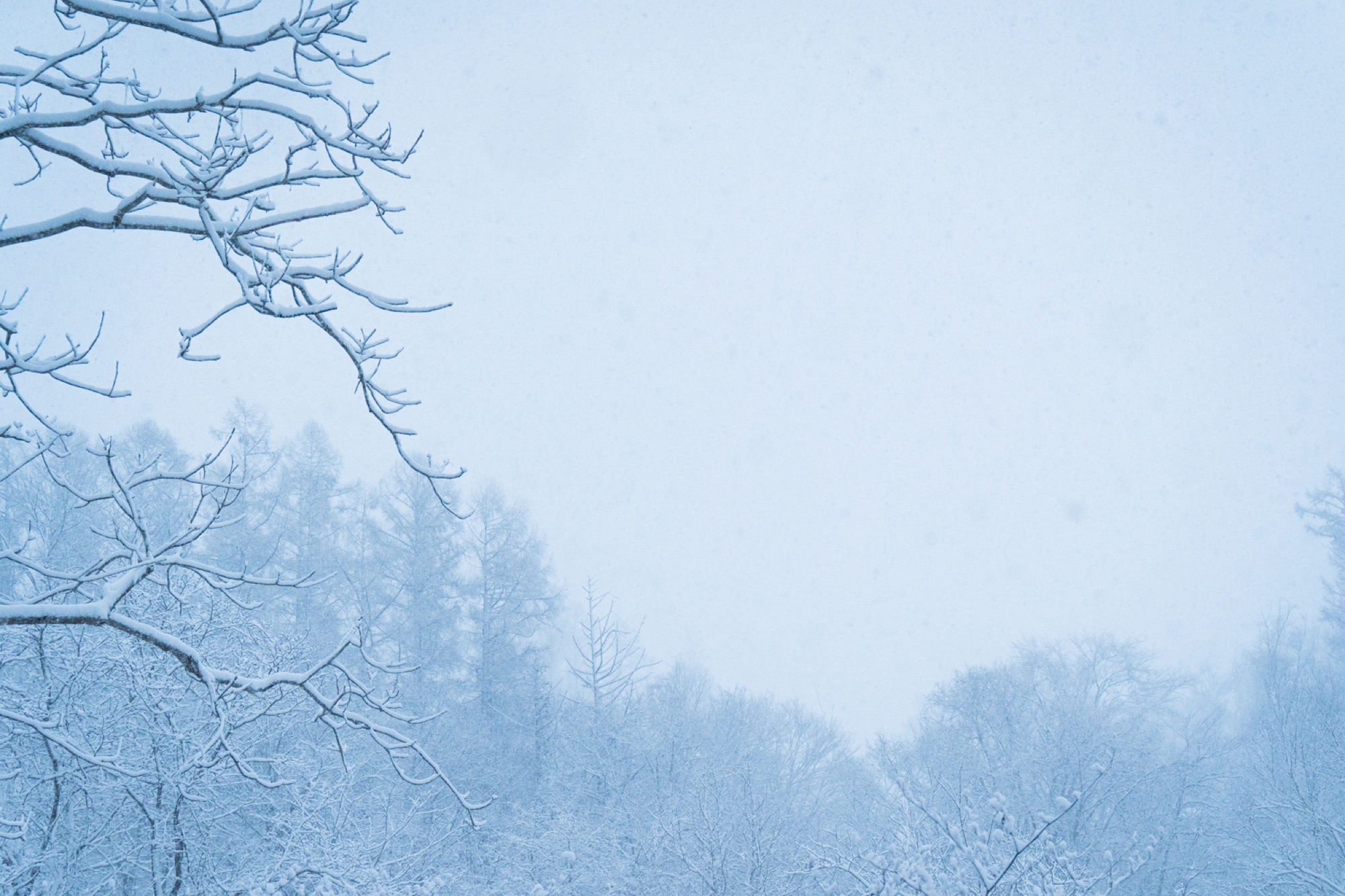 雪のニセコ